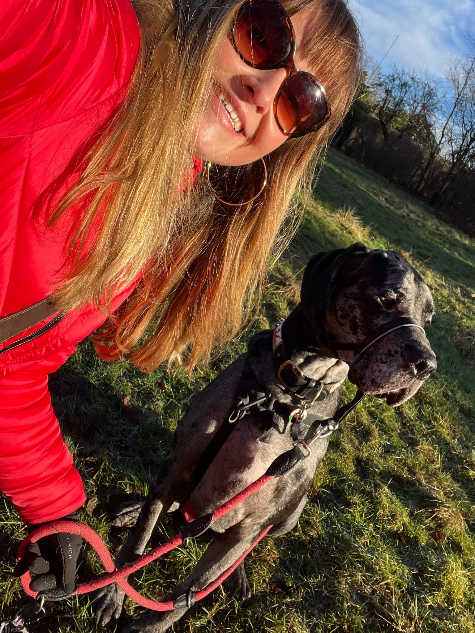 Happy pet care moment 8